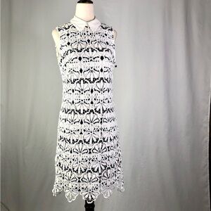 NWT Adrianna Papell sleeveless dress white lace over black white stripe 2